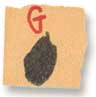 Holly Duthie's drawing of a letter when she was five years old.
